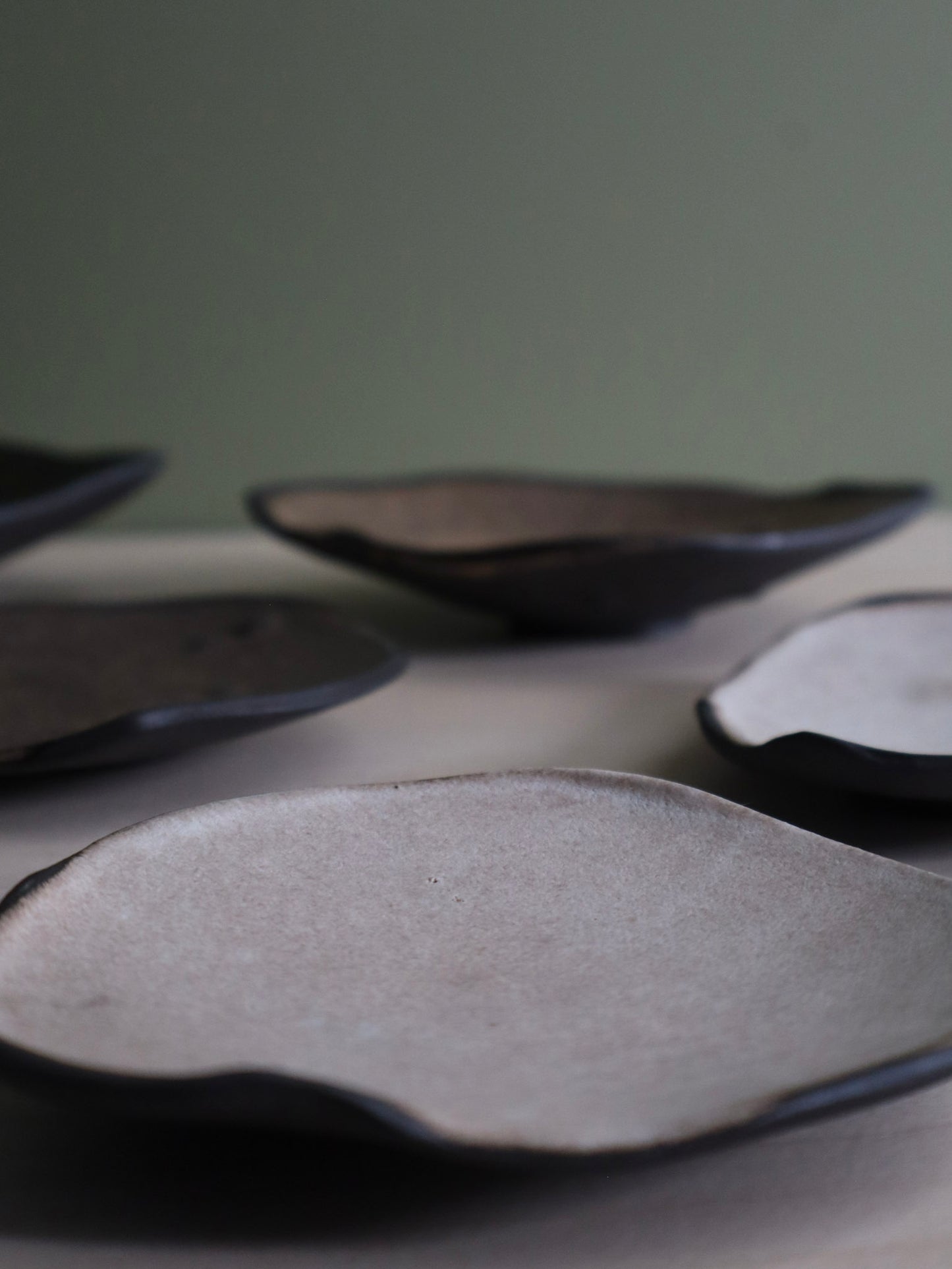 Shell Tray 01