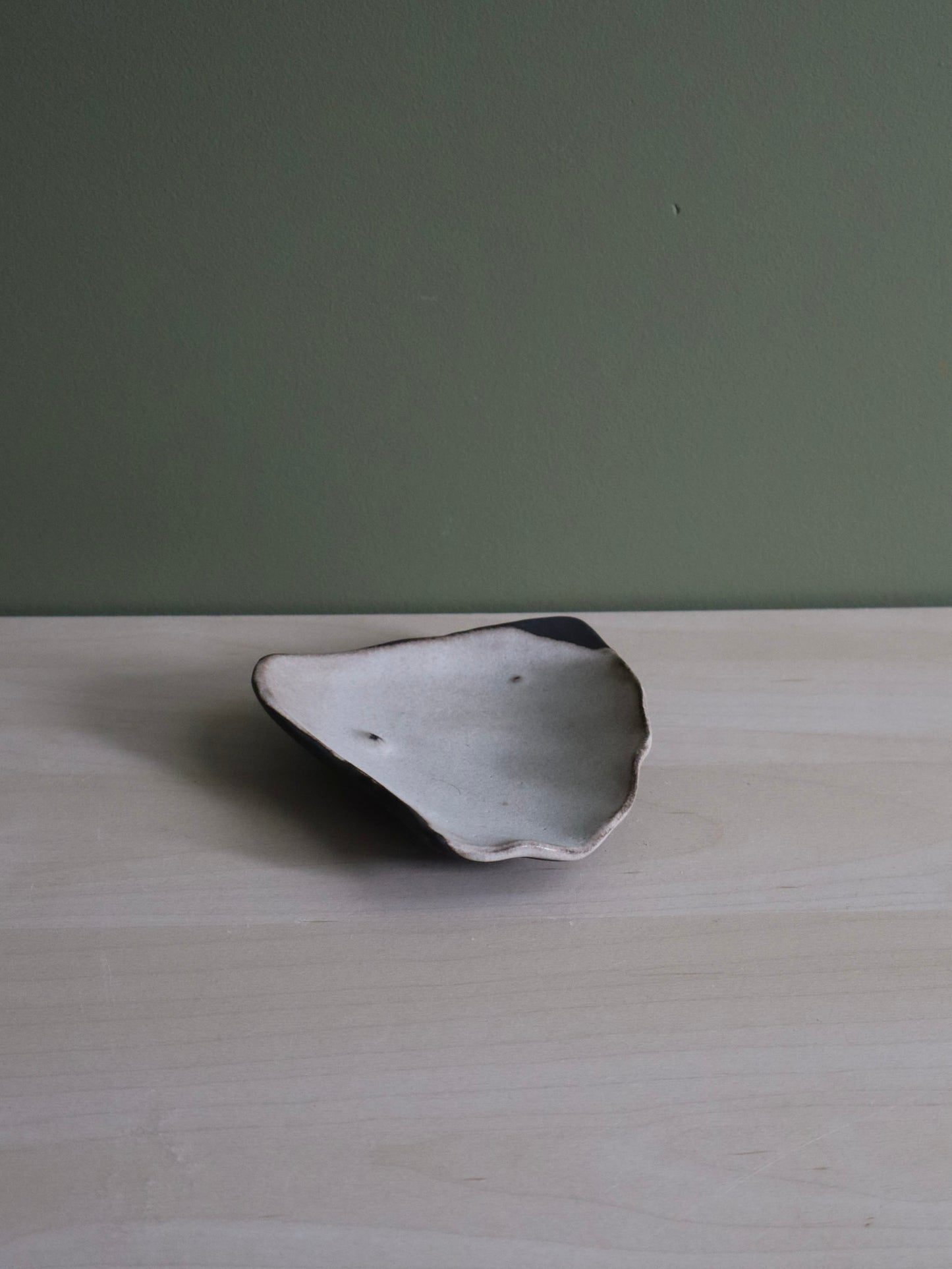 Shell Tray 01